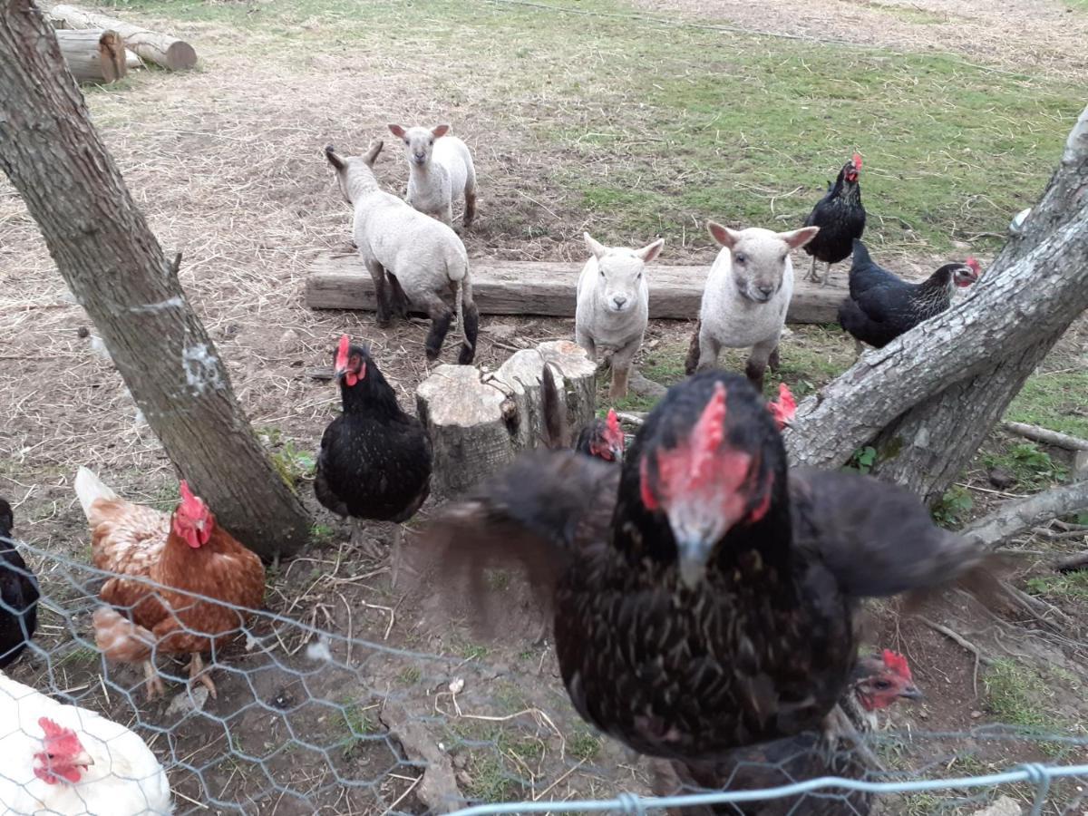 The Byre North End Farm Panzió Ashton Keynes Kültér fotó